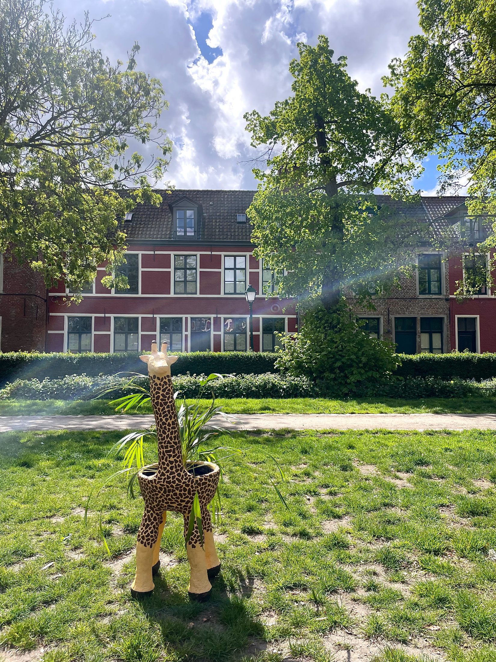 Bloemengiraf
